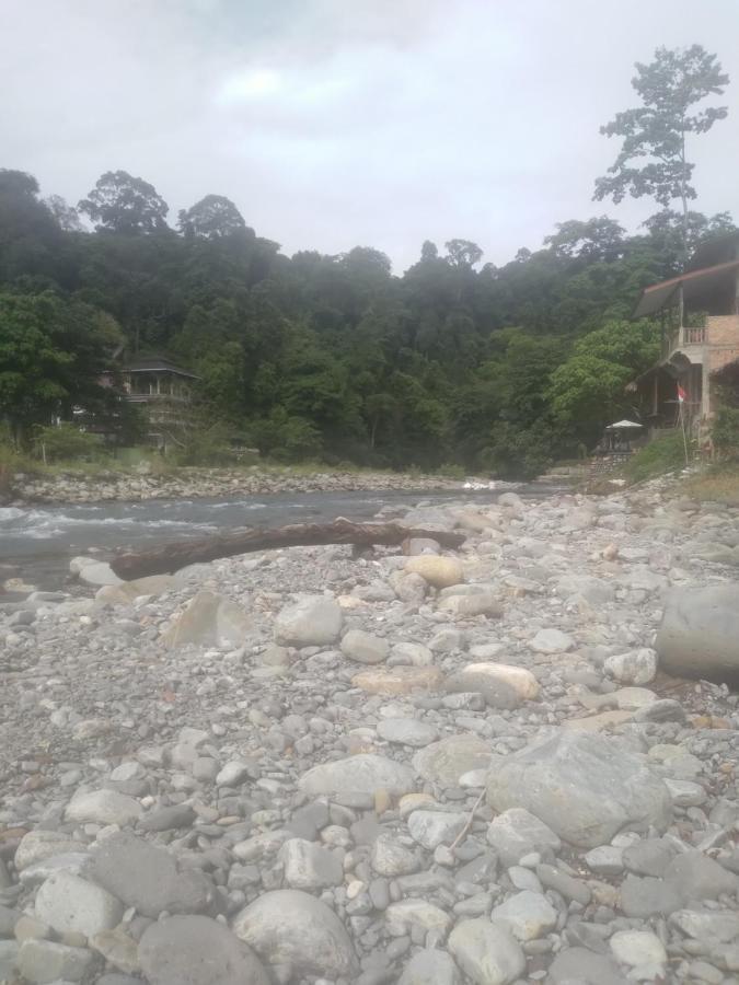 Hotel Umiyuki Jungle Tour Only Treking With As à Bukit Lawang Extérieur photo