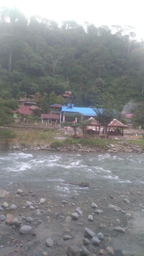 Hotel Umiyuki Jungle Tour Only Treking With As à Bukit Lawang Extérieur photo
